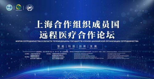 數字絲路，健康同行 中國數字化醫療技術助力“一帶一路”醫療事業發展